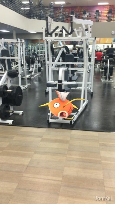 evolucion-de-magikarp-donde